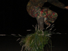 Belec10_298