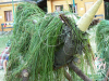 Belec10_468