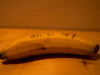 tabor_belec_2012-456