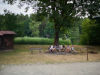 DSC00353